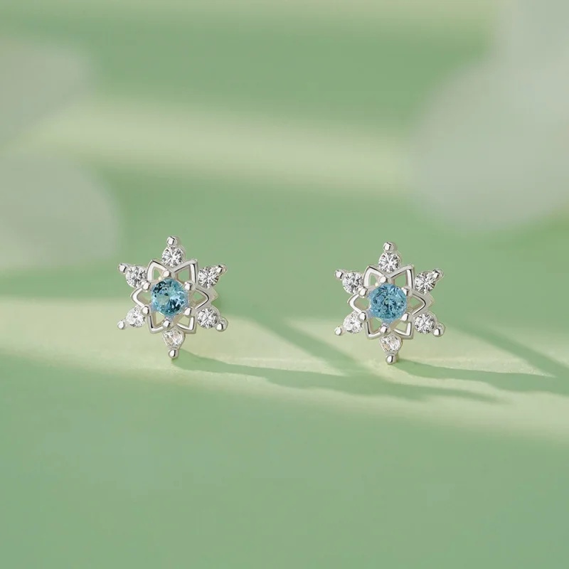Хит продаж: Серьги из серебра  – обзор и цена Women'S Accessories Jewelry Sale